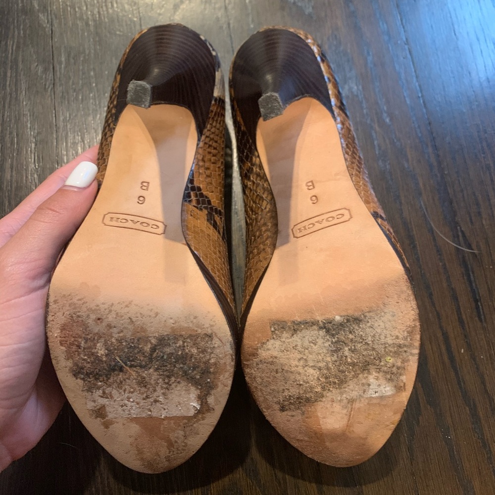 Coach Real Snake Skin Pumps - Picture 4 of 4